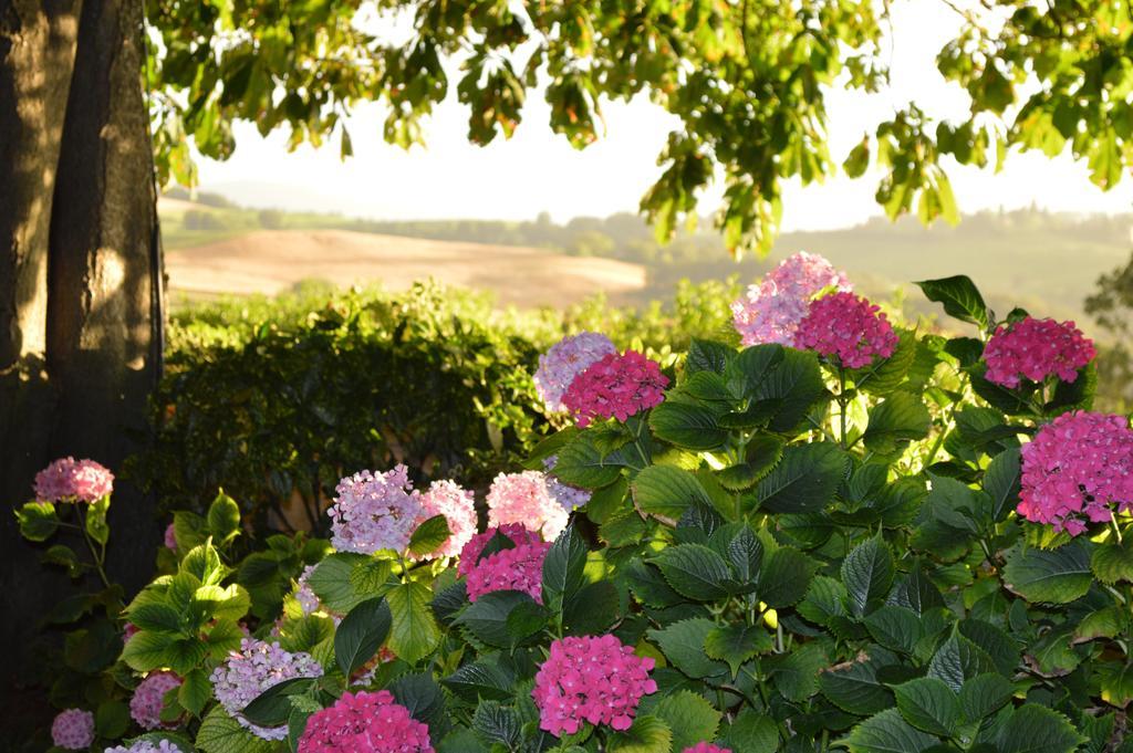 Agriturismo Cavazzone Regnano  Exterior foto